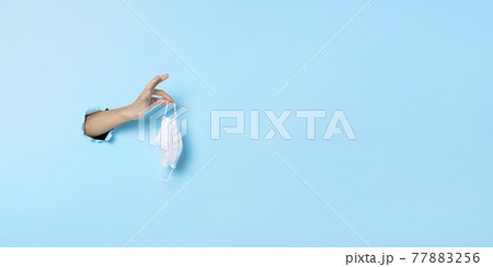 Person Hand holding a white used surgical mask from a hole in the wall on blue background. 77883256