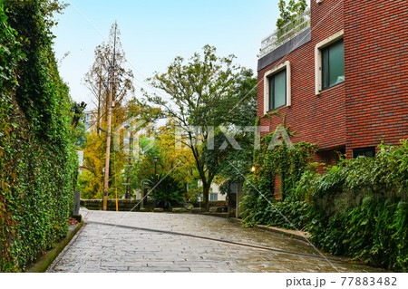 長崎　雨上がりのオランダ坂 77883482