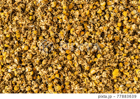 Background with dried camomile flowers. Top view 77883639