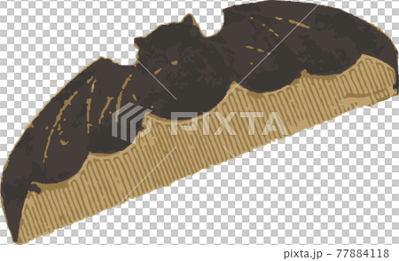 蝙蝠紋梳 77884118