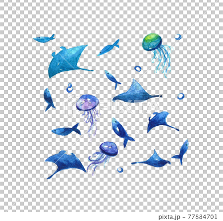 蝠鱝和魚水彩 蝠鱝和魚水彩 77884701