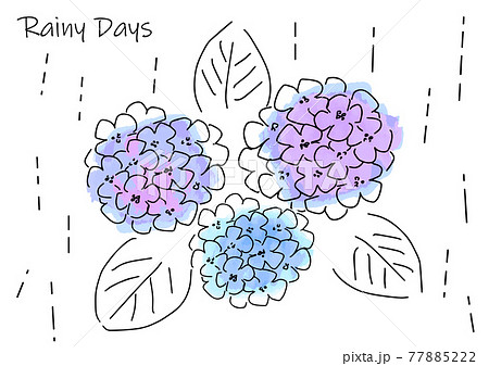 Simple Touch Illustration Of Hydrangea And Rain Stock Illustration
