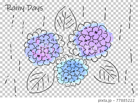 紫陽花と雨のシンプルタッチイラスト 紫陽花と雨のシンプルタッチイラスト 77885222