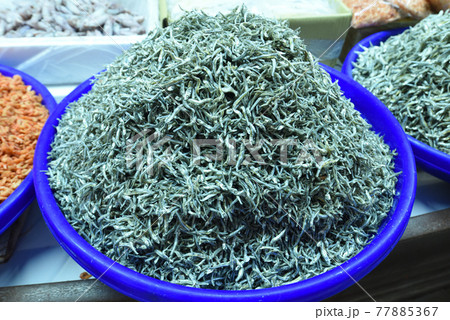 魚 魚類 サカナ 77885367