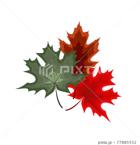 Autumn Falling Leaves Icon Isolated on White Background. Vector Illustration Autumn Falling Leaves Icon Isolated on White Background. Vector Illustration 77885552