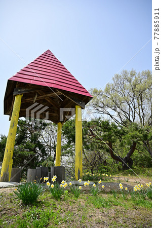 山形県村山市北山さくら公園山頂幸せの鐘と水仙 山形県村山市北山さくら公園山頂幸せの鐘と水仙 77885911