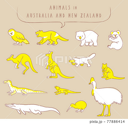 オーストラリアとニュージーランドの動物のイラストセットのイラスト素材