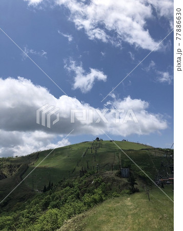 琵琶湖バレイ山頂から蓬莱山を眺める 77886630