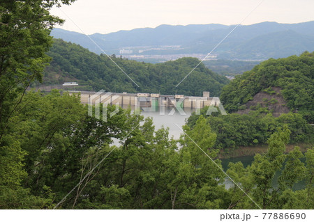 一庫ダム　ダム湖の風景　【兵庫県】 77886690