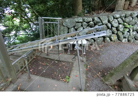 三重県紀北町の長島神社　大楠はなんとも奇妙な形 77886725