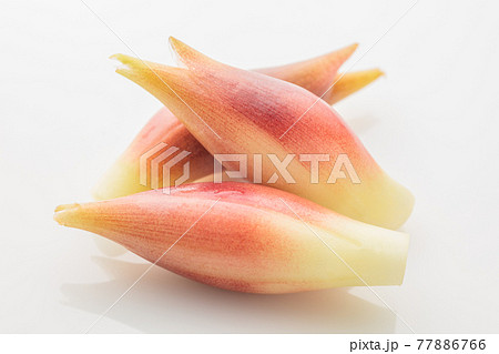 ミョウガ 77886766