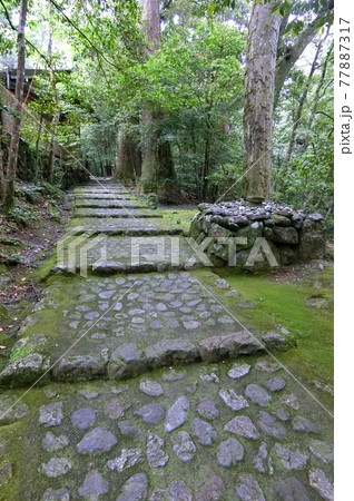 皇大神宮別宮 瀧原宮(伊勢神宮 内宮) 皇大神宮別宮 瀧原宮(伊勢神宮 内宮) 77887317