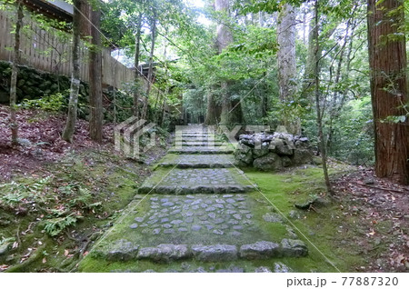 皇大神宮別宮 瀧原宮(伊勢神宮 内宮) 皇大神宮別宮 瀧原宮(伊勢神宮 内宮) 77887320