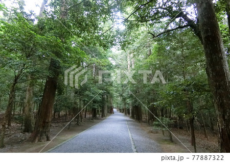 皇大神宮別宮　瀧原宮（伊勢神宮 内宮） 77887322