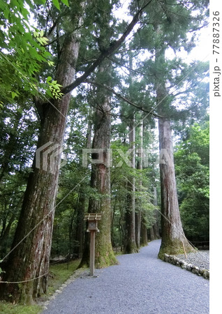皇大神宮別宮　瀧原宮（伊勢神宮 内宮） 77887326