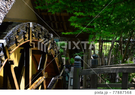 深大寺　門前町・弁天池の近くに佇む深大寺水車館で回る水車 77887568