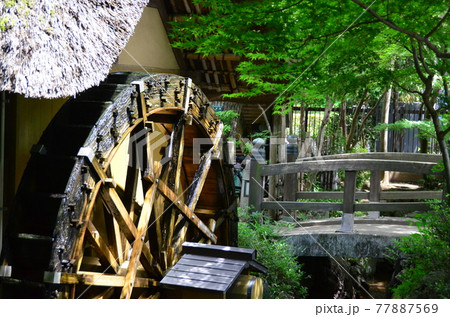 深大寺　門前町・弁天池の近くに佇む深大寺水車館で回る水車 77887569