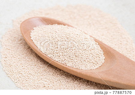 トライイースト 77887570