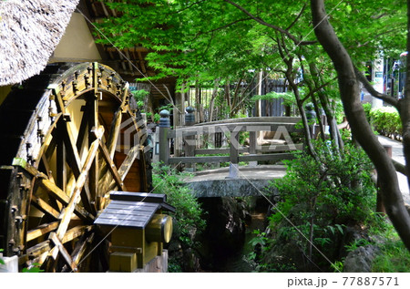 深大寺　門前町・弁天池の近くに佇む深大寺水車館で回る水車 77887571
