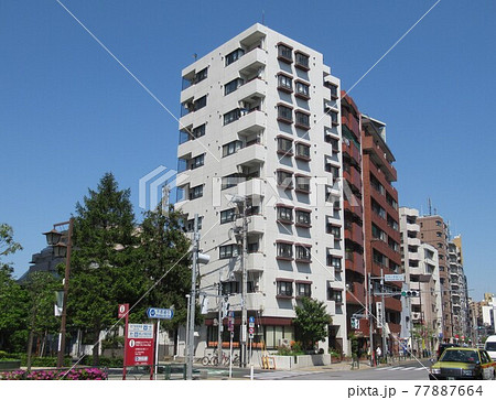 池之端二丁目付近 池之端二丁目付近 77887664