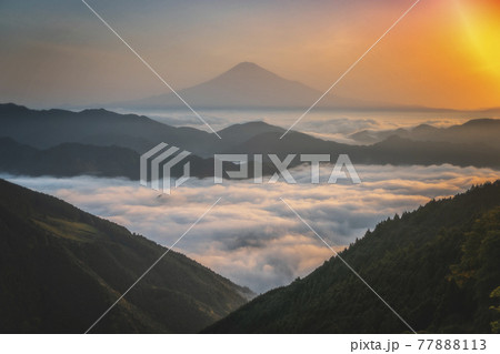 富士山と雲海 富士山と雲海 77888113