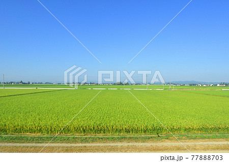 2020年夏の奥羽本線、大曲駅から及位駅までの周辺風景と車窓からの風景 2020年夏の奥羽本線、大曲駅から及位駅までの周辺風景と車窓からの風景 77888703