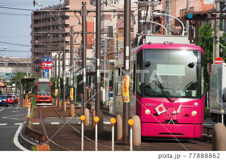 都電荒川線（東京さくらトラム）｜宮ノ前〜小台間 77888862