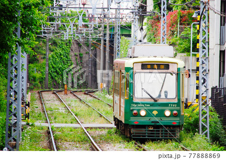 都電荒川線（東京さくらトラム）｜鬼子母神前〜学習院下間 77888869