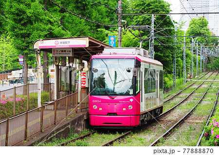 都電荒川線（東京さくらトラム）｜学習院下電停 77888870