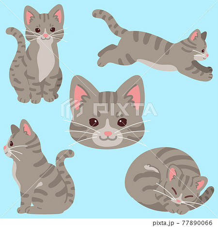 シンプルで可愛いサバトラ猫のイラストセット 主線なしのイラスト素材