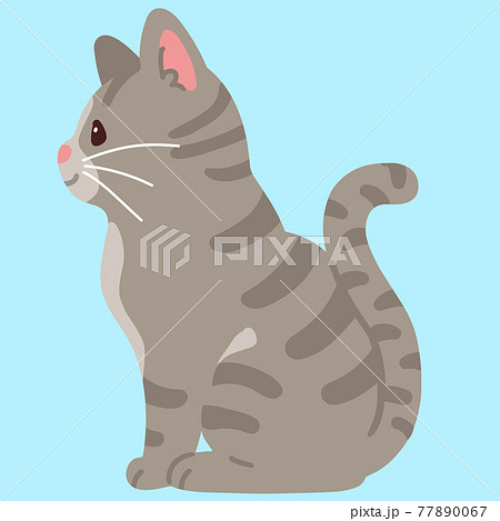 横を向いて座るシンプルで可愛いサバトラ猫のイラスト 主線なし 横を向いて座るシンプルで可愛いサバトラ猫のイラスト 主線なし 77890067