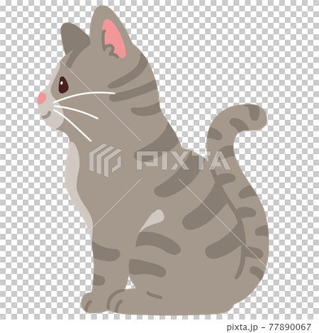 横を向いて座るシンプルで可愛いサバトラ猫のイラスト 主線なし 横を向いて座るシンプルで可愛いサバトラ猫のイラスト 主線なし 77890067