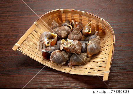 北海道産えぞばい貝、ツブ貝 77890383