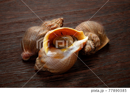 北海道産えぞばい貝、ツブ貝 77890385