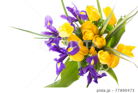 Photo with fresh spring flowers for any festive design. Yellow tulips and purple irises in a vase on a beige background, close-up Photo with fresh spring flowers for any festive design. Yellow tulips and purple irises in a vase on a beige background, close-up 77890473