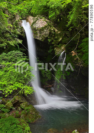 四国徳島県の新居田の滝 四国徳島県の新居田の滝 77890596