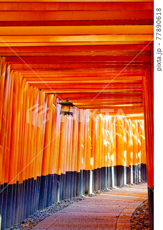 伏見稲荷大社 千本鳥居(京都府京都市) 伏見稲荷大社 千本鳥居(京都府京都市) 77890618
