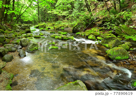 那須塩原を流れる沢名川 那須塩原を流れる沢名川 77890619