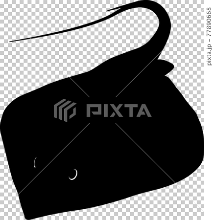 Stingray Stingray 77890668