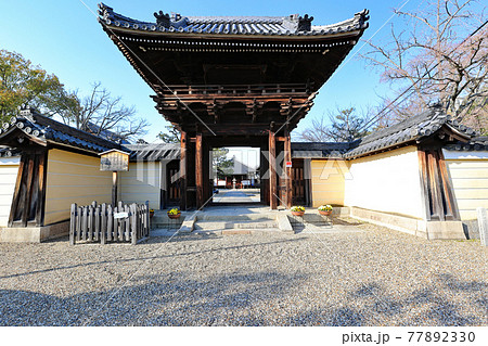 大阪の道明寺 77892330