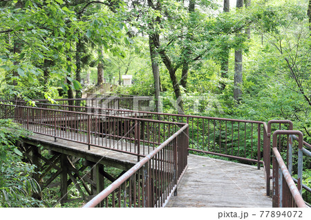 トリムパークかなづ ネイチャーゾーン 森の学校（福井県 あわら市） 77894072