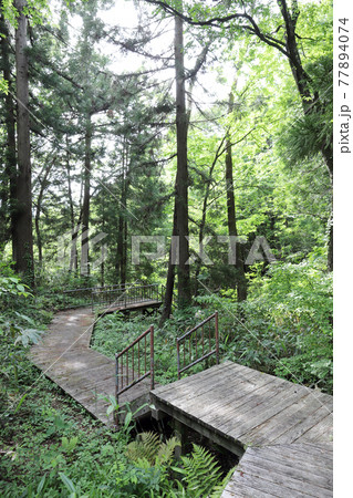 トリムパークかなづ ネイチャーゾーン 森の学校（福井県 あわら市） 77894074