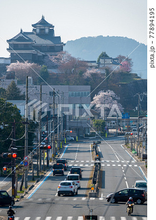 春の福知山城　早朝 77894195