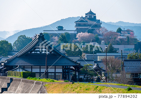 春の福知山城 早朝 春の福知山城 早朝 77894202