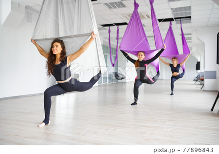 Aerial or antigravity yoga, training on hammocks 77896843
