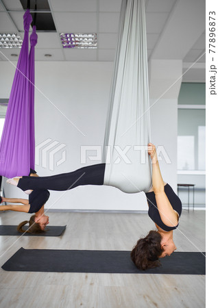 Aerial anti-gravity yoga, hanging on hammocks Aerial anti-gravity yoga, hanging on hammocks 77896873