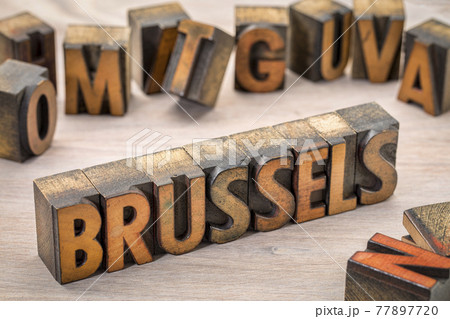 Brussels word abstract in wood type 77897720