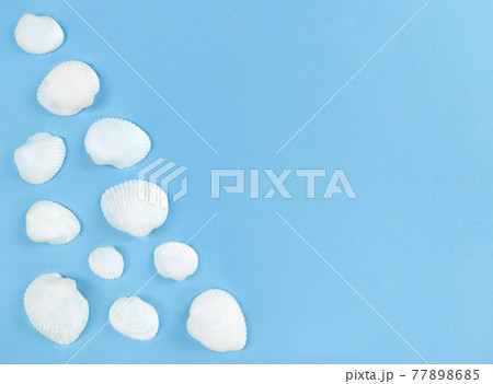 White seashells on blue background with copy space. 77898685