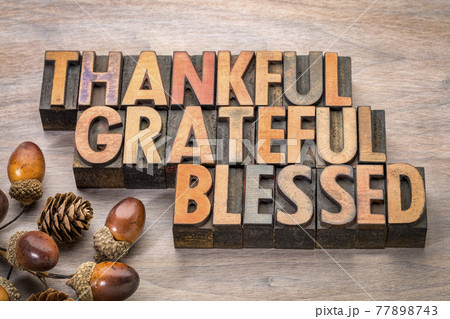 thankful, grateful, blessed - Thanksgiving theme 77898743