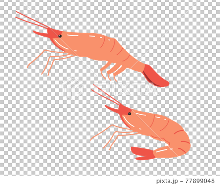 ホッコクアカエビ(甘えび) 線無し ホッコクアカエビ(甘えび) 線無し 77899048